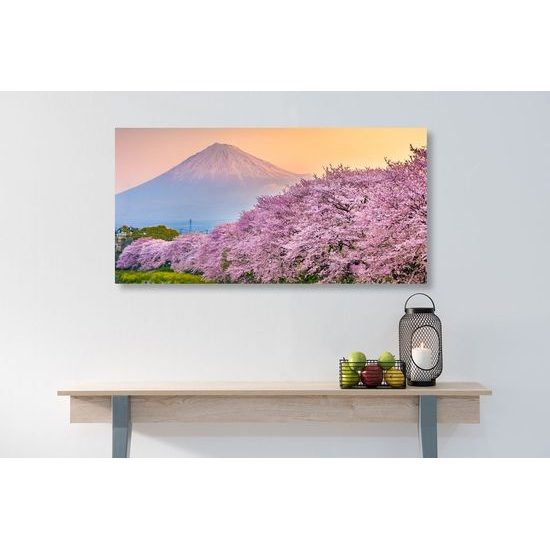 Obraz romantický pohled na Japonsko