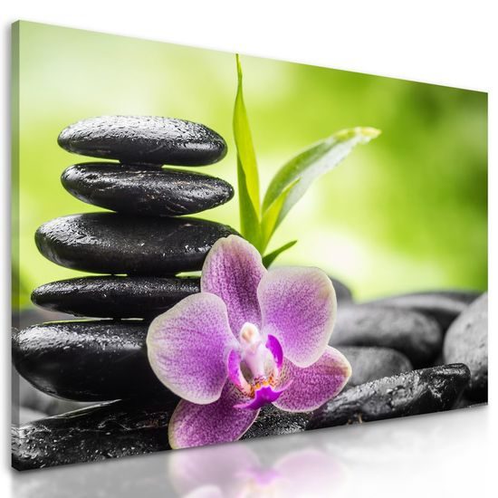 Obraz wellnes kameny v srdci přírody