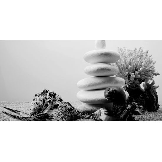 Obraz zen kameny a dary moře v černobílém provedení