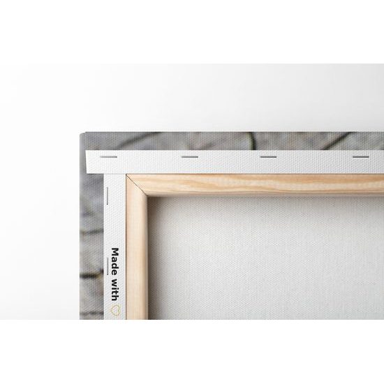 Obraz zrození zelené rostliny