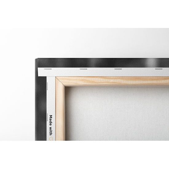 Obraz krásný jelen v černobílém provedení