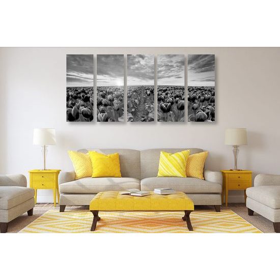 5-dílný obraz západ slunce nad rozkvinutými tulipány v černobílém provedení