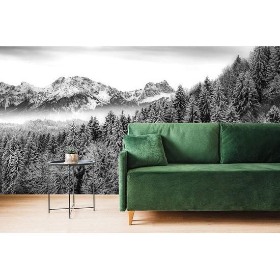 Samolepící fototapeta zasněžená krajina v černobílém provedení