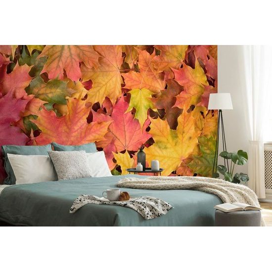 Zajímavá samolepící fototapeta podzimní listy