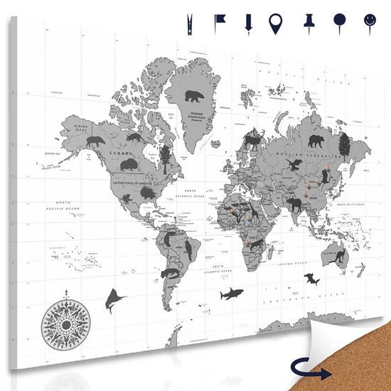 Obraz na korku černobílá mapa s charakteristickými zvířaty