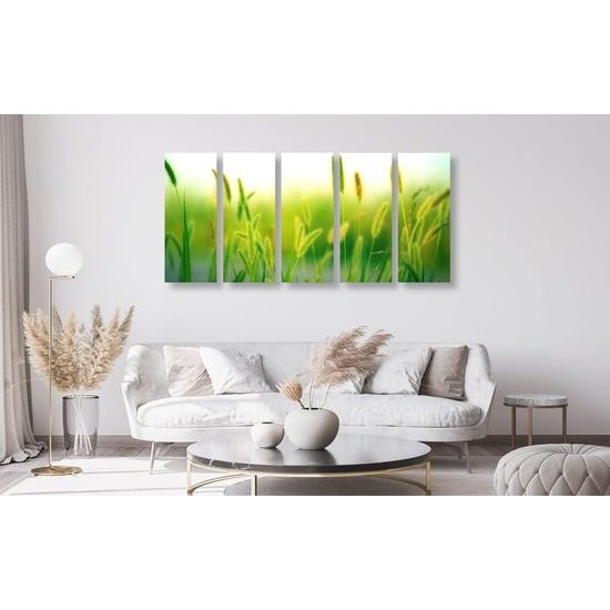 5-dílný obraz louka v létě