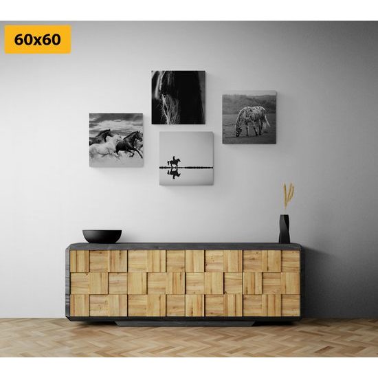 Set obrazů černobílá elegance koní