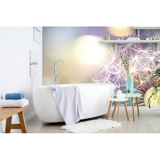 Tapeta dokonalý pohled na pampelišku