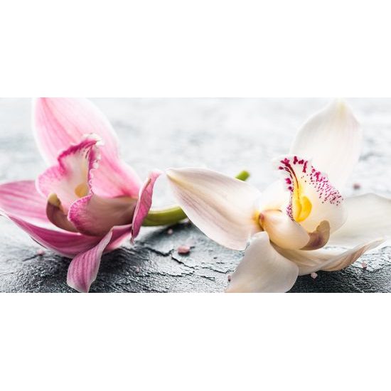 Obraz nádherné barevné květiny orchideje