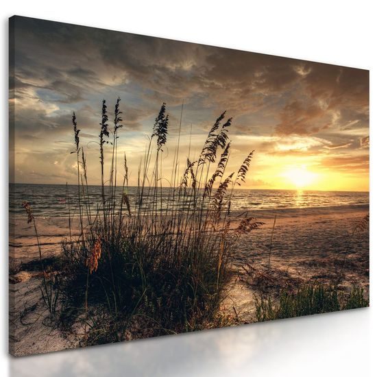 Obraz západ slunce z pláže