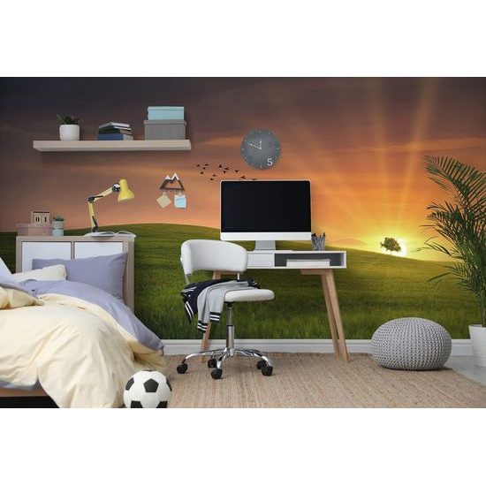 Samolepící fototapeta pohádková louka se zapadajícím sluncem