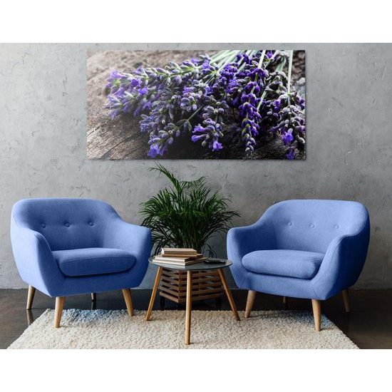 Obraz léčivé bylinky