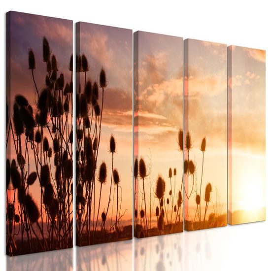 5-dílný obraz nádherný západ slunce za stéblami trávy