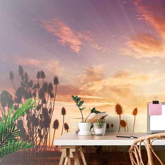 Samolepící fototapeta louky při zapadajícím slunci