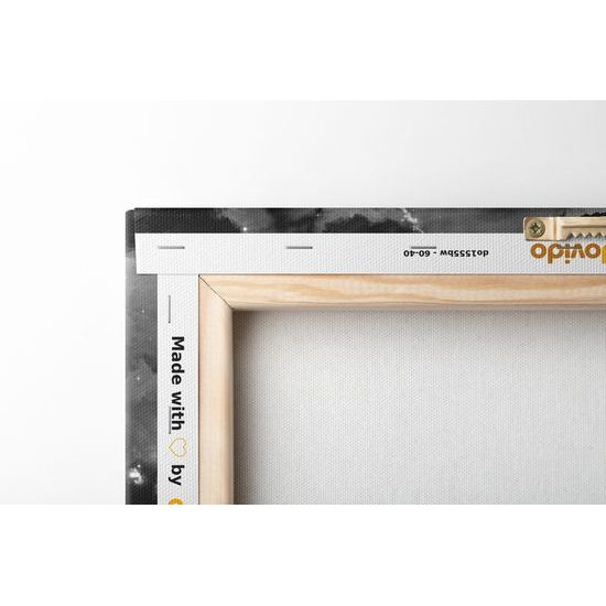 Obraz neomezená síla mysli v černobílém provedení