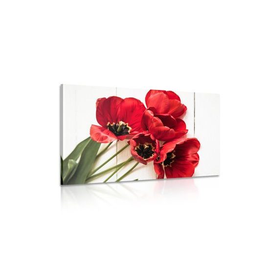 Obraz nádherné tulipány