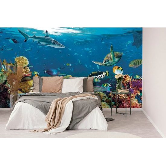 Fototapeta korálový útes