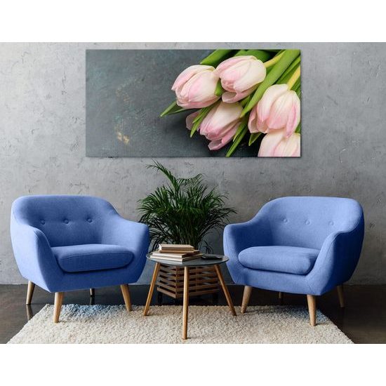 Obraz nerozkvetlé tulipány