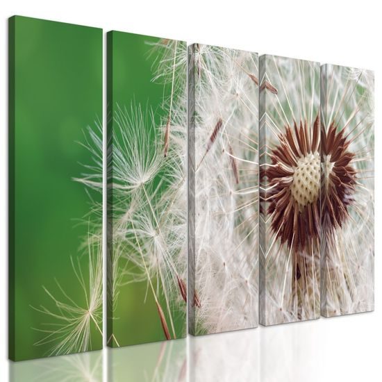 5-dílný obraz pampeliška ve větru