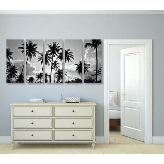 5-dílný obraz černobílé kokosové palmy