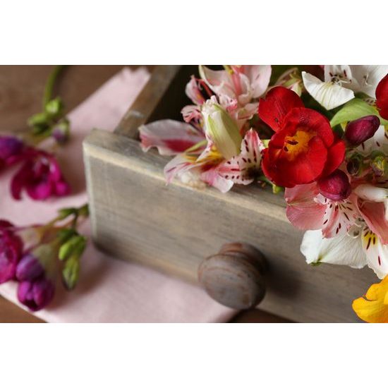 Obraz nádherné jarní květiny