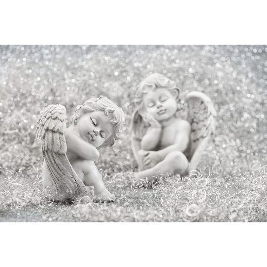 Jedinečná samolepící fototapeta dvojice spící andílky