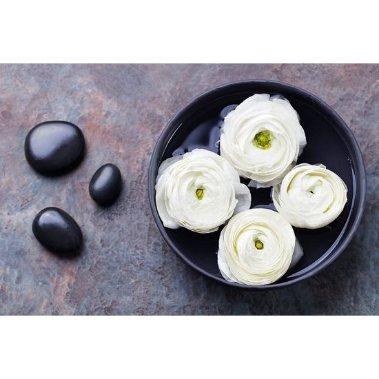 Originální fototapeta zátiší zen kamenů s květinami