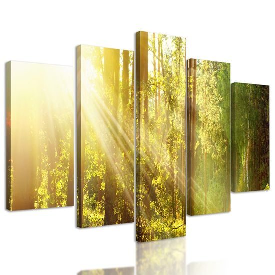 5-dílný obraz cestička v lese