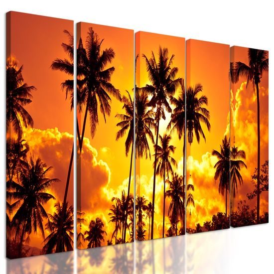 5-dílný obraz kokosové palmy v záři slunce
