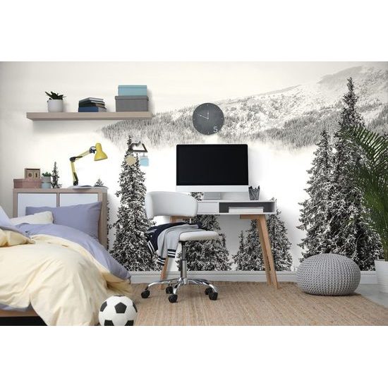 Fototapeta černobílé stromy pokryté čerstvým sněhem