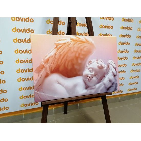 Obraz soška spící andílek