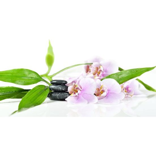 Obraz uklidňující Zen zátiší s květinami orchideje