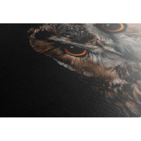 Obraz nádherná sova