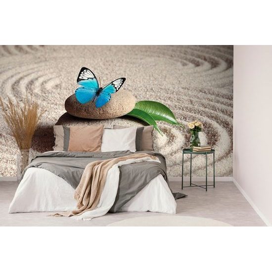 Samolepící fototapeta krásný motýl v zen zahradě