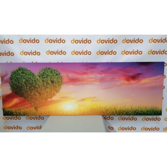 Obraz západ slunce za strom ve tvaru srdce