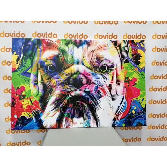 Obraz buldok v pop art provedení