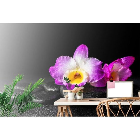 Tapeta relaxační zátiší s orchidejí