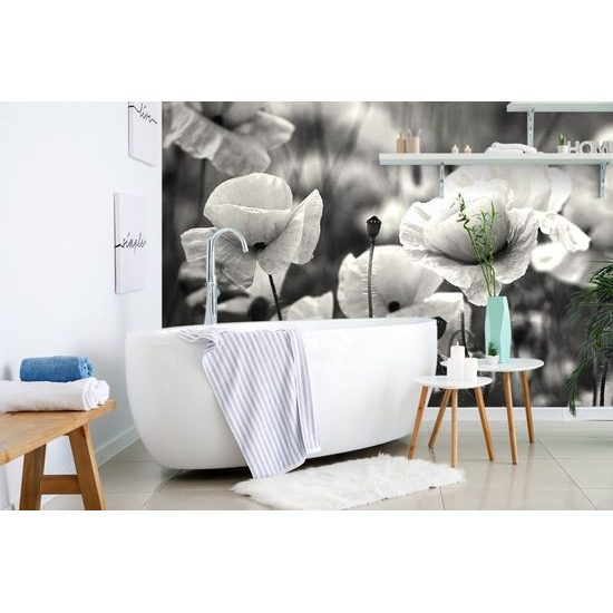 Nádherná černobílá samolepící fototapeta v objetí vlčích máků