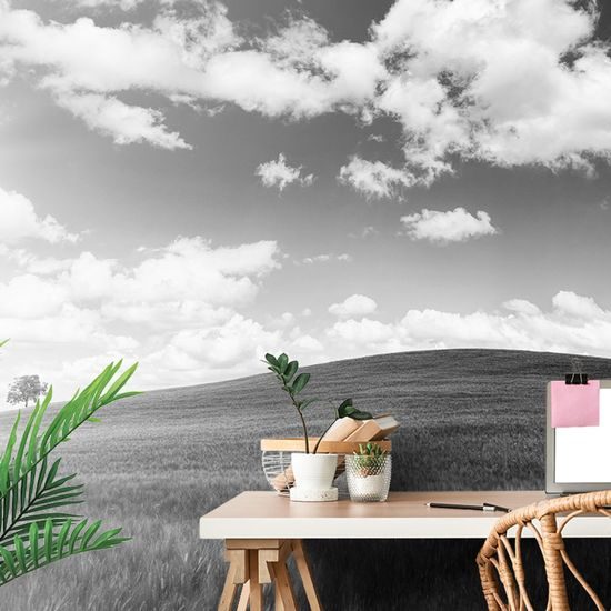 Fototapeta nádherná černobílá louka