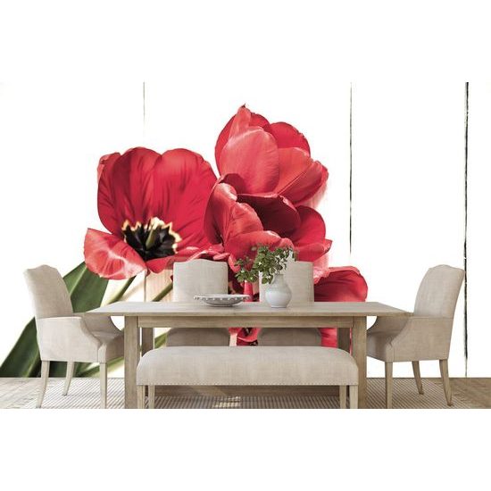 Fototapeta ohnivočervené tulipány