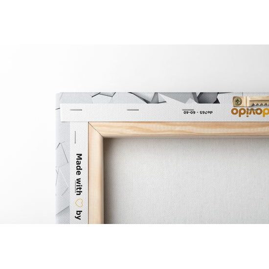 Obraz usmívající se opička