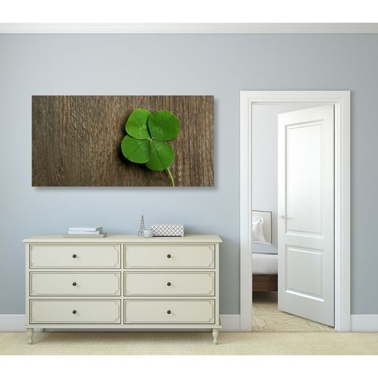 Obraz zelený čtvrtlístek pro štěstí