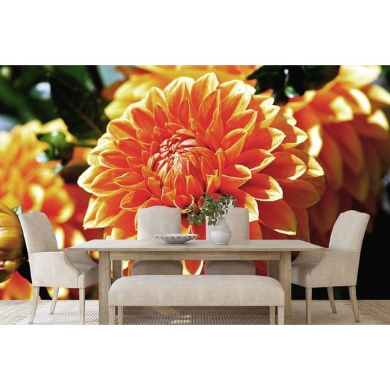 Krásná samolepící fototapeta květ dálí