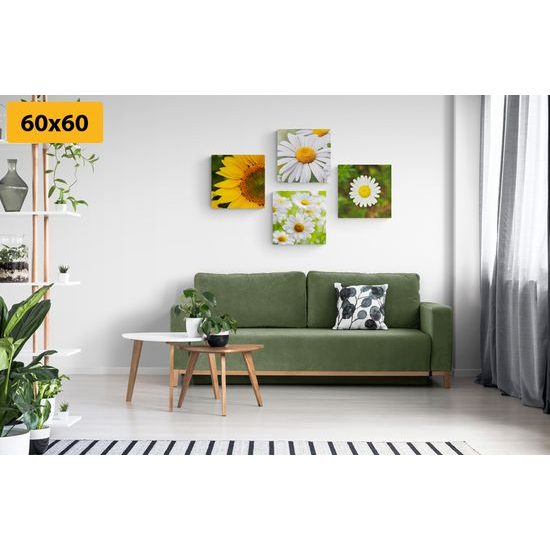 Set obrazů jarní květiny