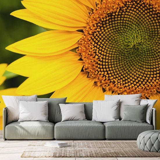 Samolepící fototapeta krásná slunečnice