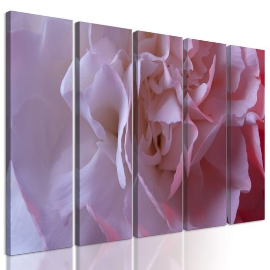 5-dílný obraz detail na květ karafiátu
