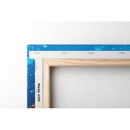 Obraz krásné mořské ryby