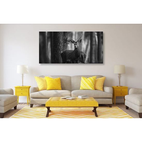 Obraz krásný jelen v černobílém provedení