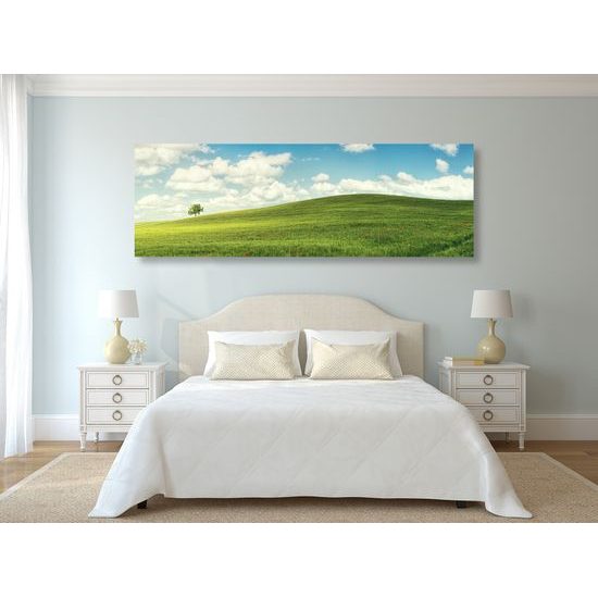 Obraz slunečný den na louce