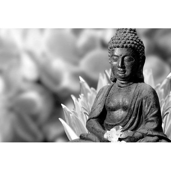 Obraz černobílý Buddha meditující v květinové zahradě